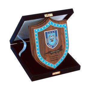 Türk Hava Kuvvetleri Ahşap Plaket